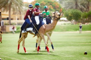 Cưỡi lạc đà chơi polo ở Dubai   