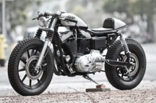 Harley-Davidson Sportster - cafe racer vô tình