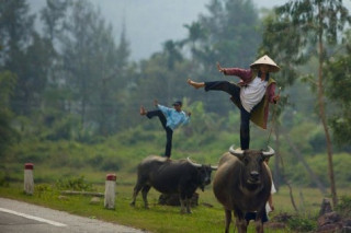 Em đang ở đâu, để anh phi trâu đến đón