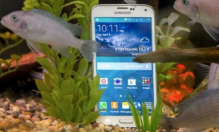 Samsung Galaxy A7 rẻ hơn A5 khoảng 60 euro khi bán lần đầu