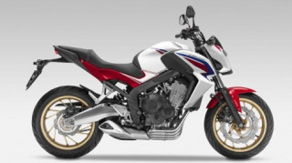 Honda sắp ra mắt Hornet 800cc hoặc 900cc