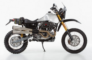 Harley-Davidson dựng thành xe địa hình hỗn hợp 72.000 USD
