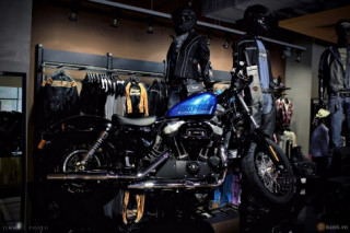 Harley Davidson Forty - Eight màu độc tại Sài Gòn