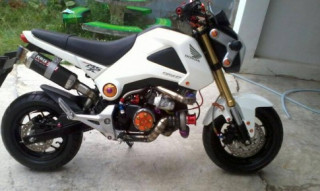 Những mẫu Honda MSX125 cầu kì