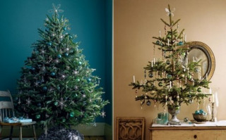 Bạn có biết gì về nguồn gốc ra đời của cây thông Noel?