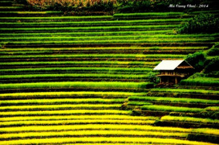 Tây Bắc: Mùa thu lưng chừng trời