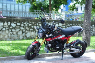 Honda MSX125 độ gần 400 triệu của chàng trai Hà Nội