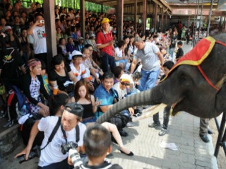 Bất ổn ở Thái Lan, du khách Việt thi nhau hủy tour du lịch