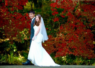 Chuyện 1.000 ngày yêu xa của cặp đôi có bộ ảnh cưới thu vàng tuyệt đẹp tại Nhật