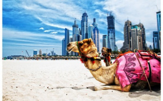 Những điều khiến du khách lạ lẫm khi đến Dubai