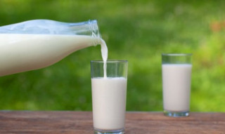 Uống sữa nhiều có làm giảm nguy cơ gãy xương?