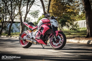 Kawasaki ER-6N độ nổi bật với phiên bản Pinky Biggiz Catz