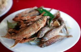 Đặc sản cá suối dân dã ở Mộc Châu
