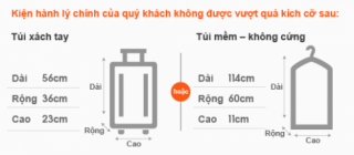 Một số lưu ý khi mang hành lý xách tay lên máy bay