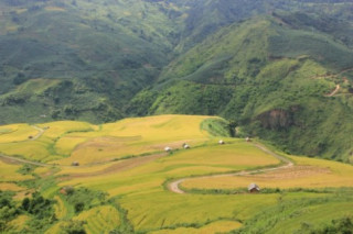 Nam thanh niên tử vong trên đường phượt Y Tý