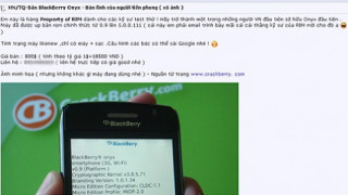 BlackBerry Onyx đã bán ở VN