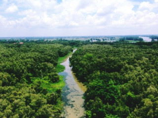 Điểm phượt “hòa mình vào thiên nhiên” cách Sài Gòn 100km