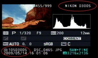 Hé lộ Nikon D300s