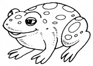 Tranh tô màu ‘Chú ếch con‘ cho bé