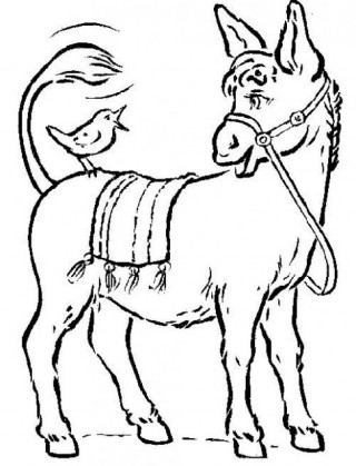 Tranh tô màu ‘Chú ngựa’