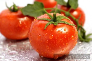 Nam giới nên ăn cà chua để bảo vệ tinh trùng