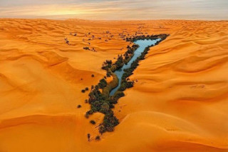 Những điều kỳ diệu giữa sa mạc