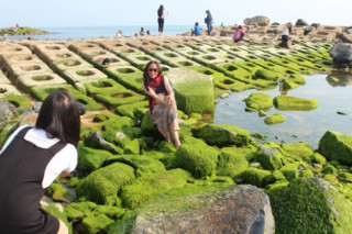 Bờ kè rêu xanh ở Phú Yên thành điểm tham quan kỳ lạ