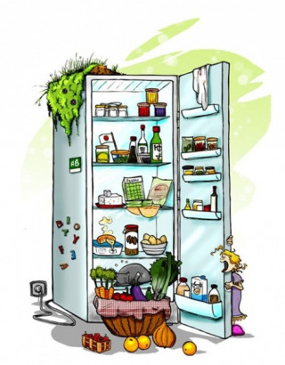 Chỉ cần giữ vệ sinh tủ lạnh thì không phải lo ngộ độc thực phẩm
