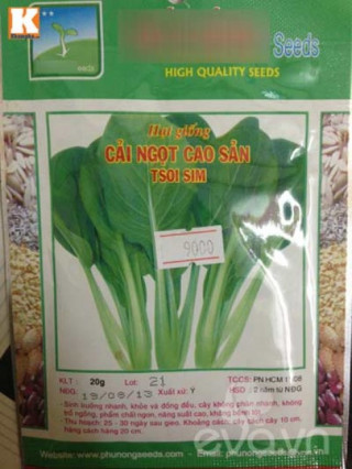 Mẹ Việt ‘sốt’ trồng rau mầm không cần đất