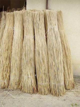 Nhẫn cưới từng được làm từ...lau sậy!