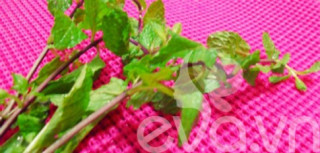 Nhật ký Hana: Trị mụn từ mẹo dân gian