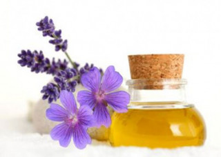 6 loại tinh dầu giúp lành vết thương trên da bạn