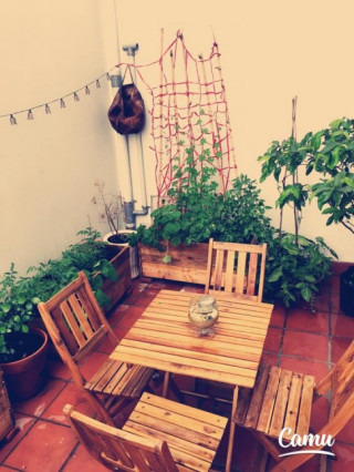 Đã con mắt những vườn rau sân thượng của sao Việt