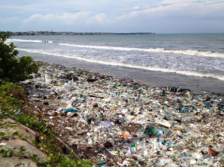 Du khách Nga kêu biển ngập rác, Bình Thuận vào cuộc xác minh