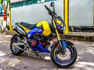 Honda MSX sơn Air Brush nổi bật cùng nhiều phụ kiện đồ chơi