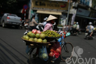 Hồng ngâm - Quà ngon của mùa thu Hà Nội