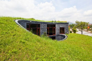Nhà mái cỏ Việt Nam trong top 20 nhà mái xanh độc đáo