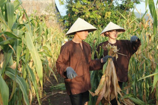 Project Runway tập 2: Top 12 thi nhau làm trang phục từ cây ngô