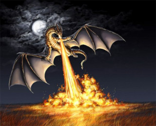 Rồng “bay” vào nhà, giải trừ Tam Sát