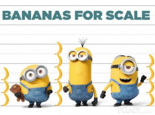 Sao Việt chạy theo cơn sốt thời trang Minions