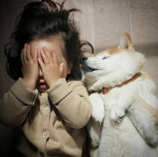 “Tan chảy” với tình bạn của cô bé Pháp 2 tuổi và chó cưng