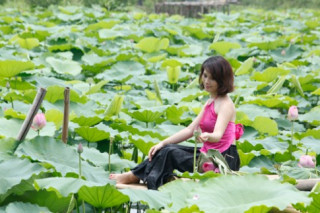 Chị em Hà Thành nô nức mặc yếm đào chụp ảnh sen