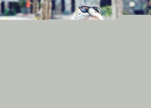 Gặp gỡ nhiếp ảnh gia xinh đẹp, sành điệu nhất TP.HCM