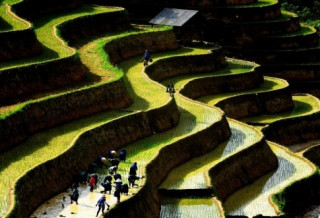 Hoàng Su Phì có vẻ đẹp nơi đây như một thiên đường hoang sơ