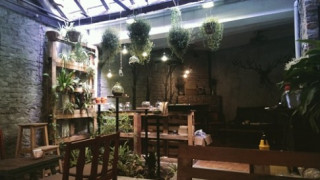 Quán cà phê dạy trồng cây xanh trong ngõ nhỏ Hà Nội