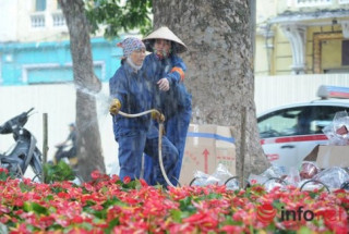 Thủ đô Hà Nội đang được trang trí bằng “hoa lạ”?