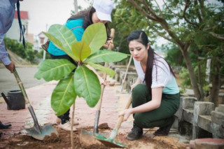4 kiểu bảo vệ môi trường “không tin nổi” của sao Việt