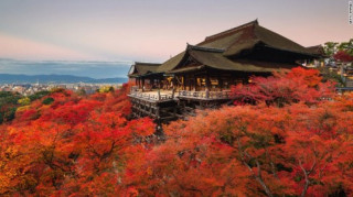 Chiêm ngưỡng những tuyệt tác đền, chùa ở Nhật Bản