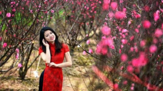 10 điểm chụp ảnh Tết Dương lịch đẹp mê tại HN và SG