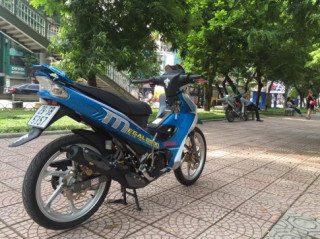 Chú cá mập giản dị